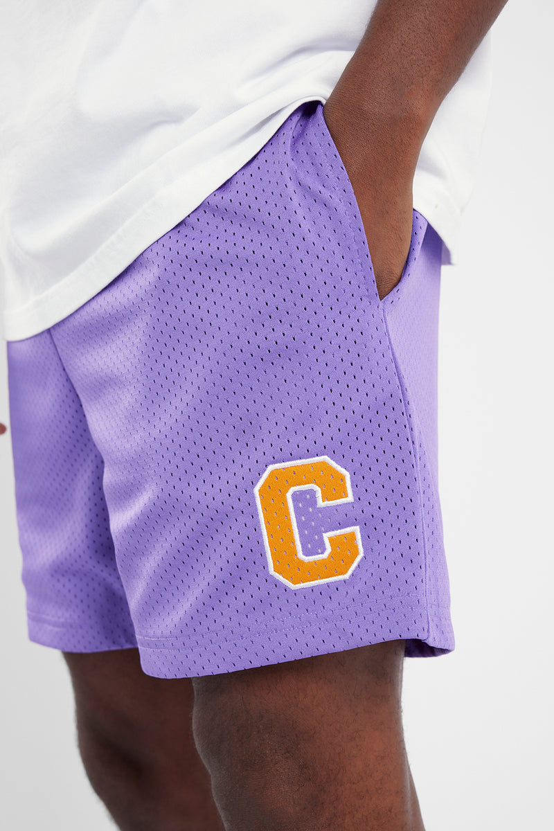 Purple champion 2024 mesh shorts