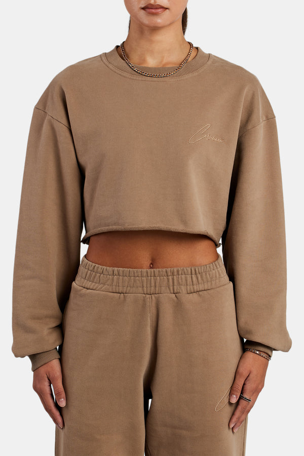 Cernucci Crop Sweatshirt - Coffee